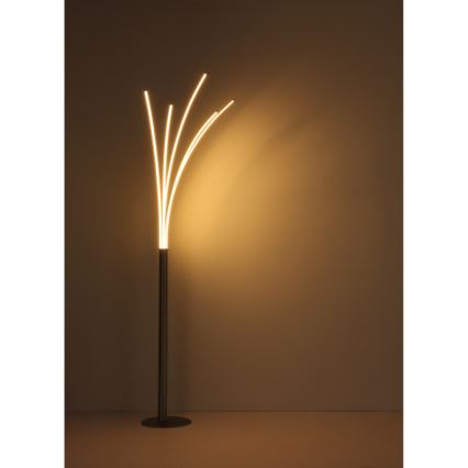 Globo - LED podna lampa s dodirnim upravljanjem i mogućnošću prigušivanja LED/36W/230V