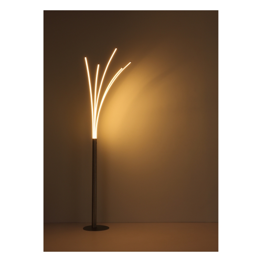 Globo - LED podna lampa s dodirnim upravljanjem i mogućnošću prigušivanja LED/36W/230V