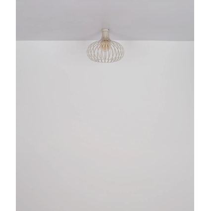 Globo - Stropno svjetlo 1xE27/40W/230V