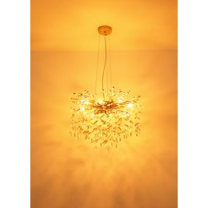 Globo - Luster na sajli 8xE14/40W/230V zlatni