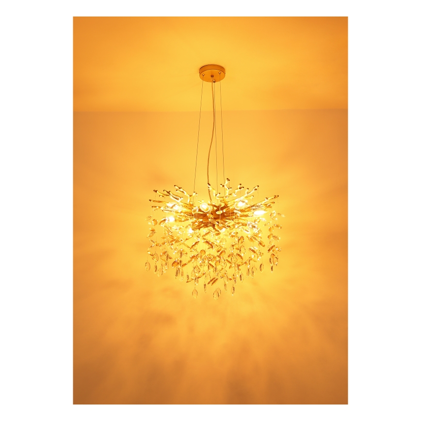 Globo - Luster na sajli 8xE14/40W/230V zlatni