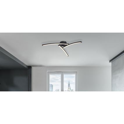 Globo - LED Nadgradni luster 3xLED/6W/230V 3000/4000/6000K