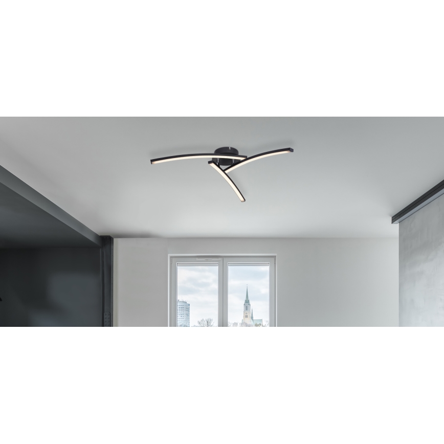 Globo - LED Nadgradni luster 3xLED/6W/230V 3000/4000/6000K
