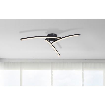 Globo - LED Nadgradni luster 3xLED/6W/230V 3000/4000/6000K