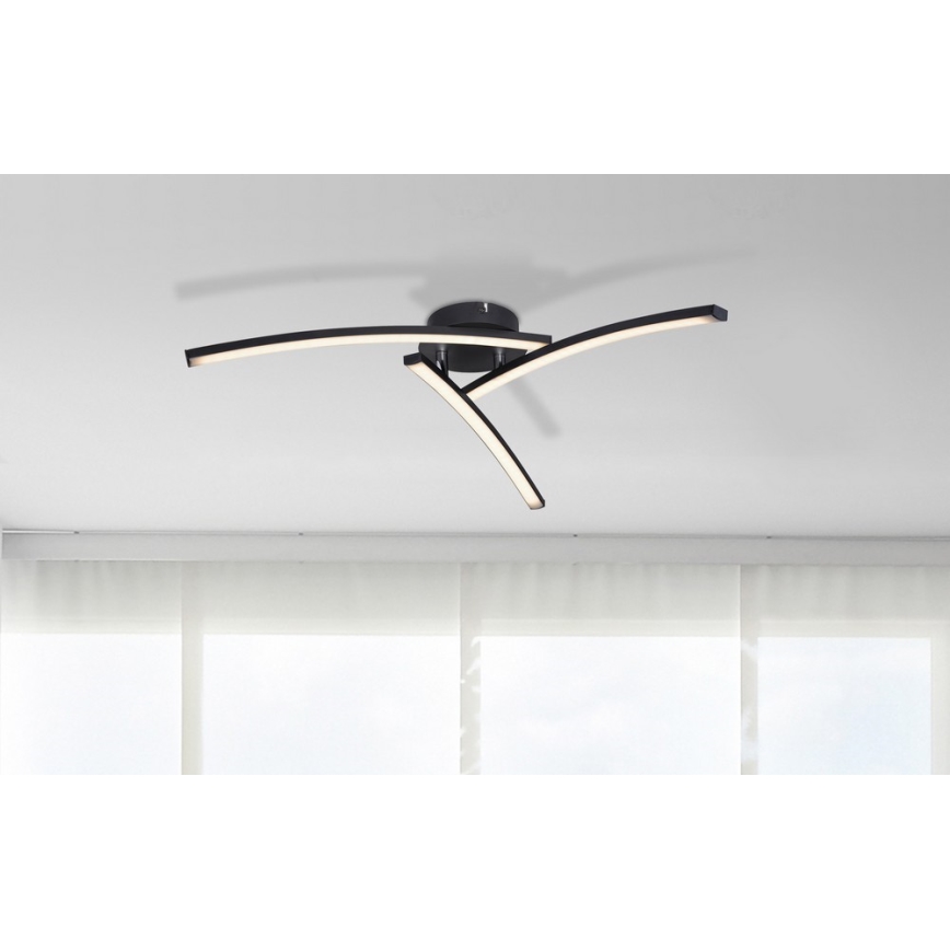 Globo - LED Nadgradni luster 3xLED/6W/230V 3000/4000/6000K
