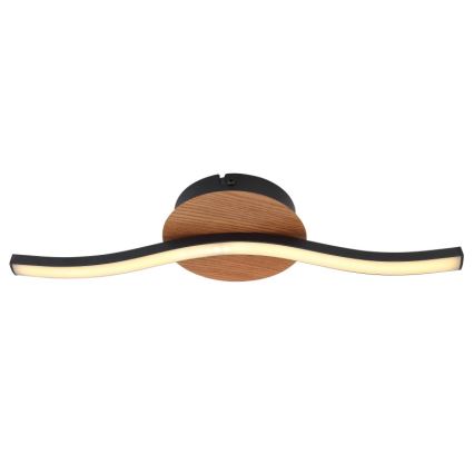 Globo - LED Stropna svjetiljka LED/6W/230V