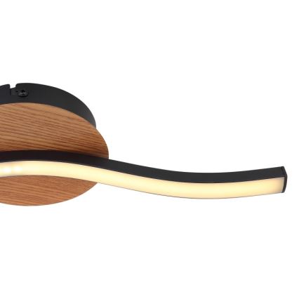 Globo - LED Stropna svjetiljka LED/6W/230V