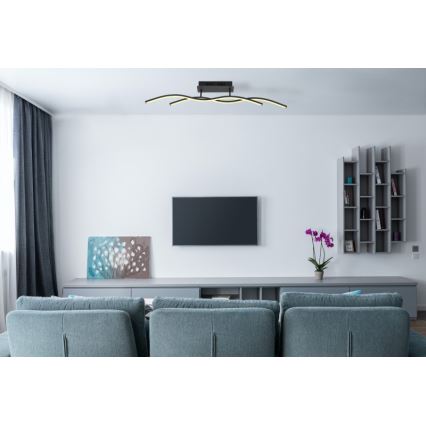 Globo 67172D - LED Stropna svjetiljka MARIUS LED/20W/230V 3000K