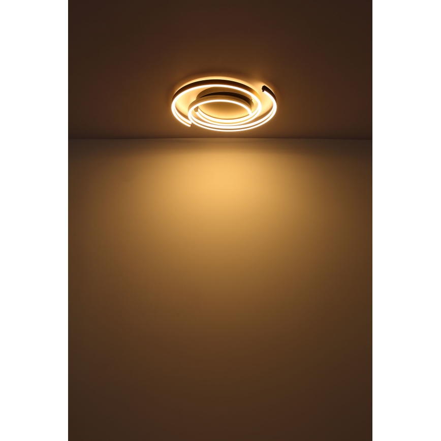 Globo - LED Stropna svjetiljka LED/38W/230V