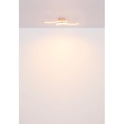 Globo - LED Nadgradni luster LED/12W/230V 3000K narančasta