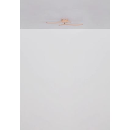 Globo - LED Nadgradni luster LED/12W/230V 3000K narančasta