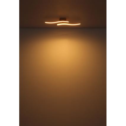 Globo - LED Nadgradni luster LED/12W/230V 3000K bijela