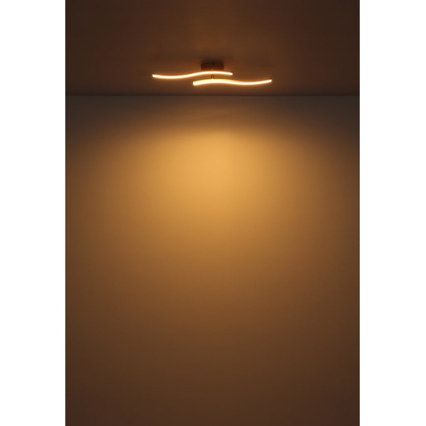 Globo - LED Nadgradni luster LED/12W/230V 3000K bijela