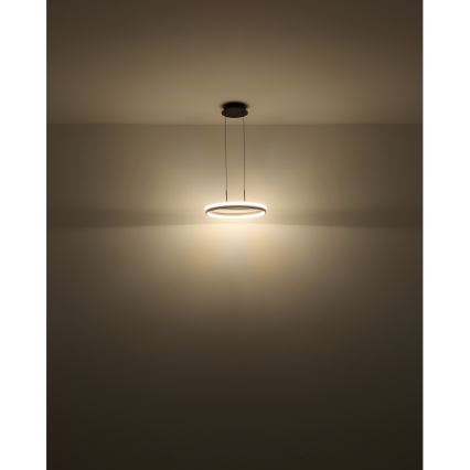 Globo - LED Luster na sajli LED/40W/230V 3000/4000/6000K pr. 39,7 cm smeđa