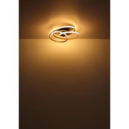 Globo - LED Nadgradni luster LED/40W/230V 3000K zlatna/crna