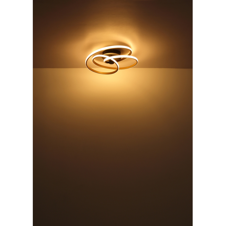 Globo - LED Nadgradni luster LED/40W/230V 3000K zlatna/crna