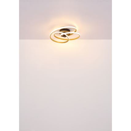 Globo - LED Nadgradni luster LED/40W/230V 3000K mat krom/crna