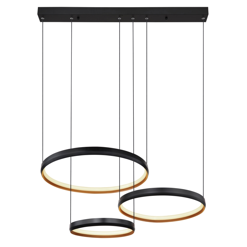 Globo - LED Prigušivi luster na sajli LED/55W/230V 2700-6000K + daljinski upravljač