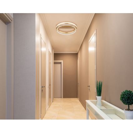 Globo - LED Prigušiva kristalna stropna svjetiljka LED/36W/230V 2700K-6000K + daljinski upravljač