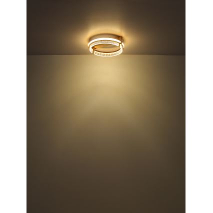 Globo - LED Prigušiva kristalna stropna svjetiljka LED/36W/230V 2700K-6000K + daljinski upravljač