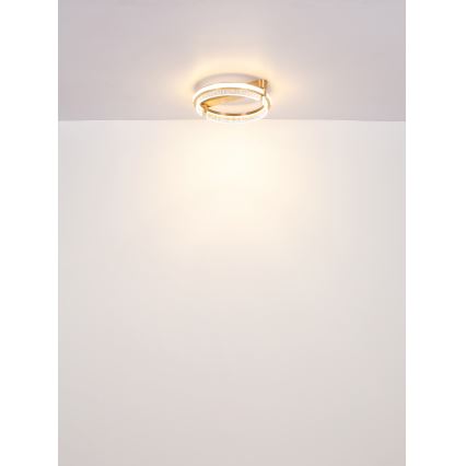 Globo - LED Prigušiva kristalna stropna svjetiljka LED/36W/230V 2700K-6000K + daljinski upravljač