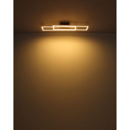 Globo - LED Stropna svjetiljka LED/30W/230V 3000K 60x80 cm crna