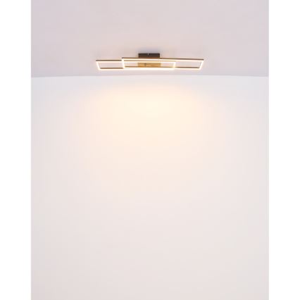 Globo - LED Stropna svjetiljka LED/30W/230V 3000K 60x80 cm crna