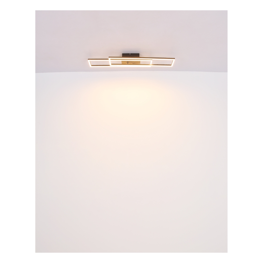 Globo - LED Stropna svjetiljka LED/30W/230V 3000K 60x80 cm crna