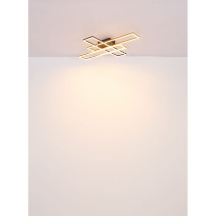 Globo - LED Stropna svjetiljka LED/30W/230V 3000K 60x80 cm crna/zlatna