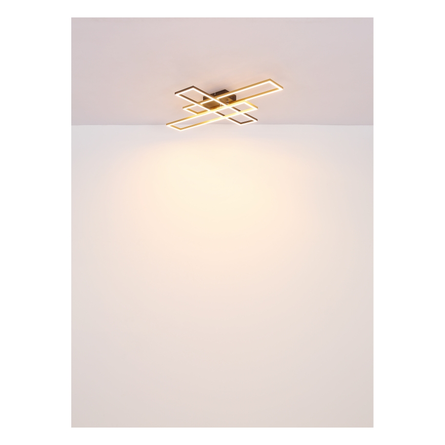 Globo - LED Stropna svjetiljka LED/30W/230V 3000K 60x80 cm crna/zlatna