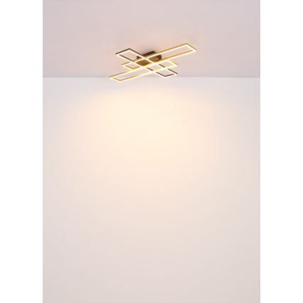 Globo - LED Stropna svjetiljka LED/40W/230V 3000K 60x80 cm crna/zlatna
