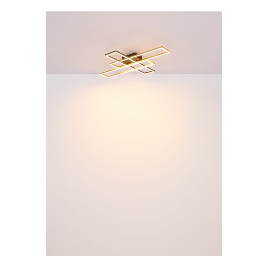 Globo - LED Stropna svjetiljka LED/40W/230V 3000K 60x80 cm crna/zlatna