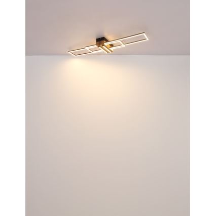 Globo - LED Stropna svjetiljka LED/40W/230V 3000K 25x100 cm crna