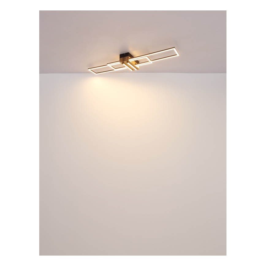 Globo - LED Stropna svjetiljka LED/40W/230V 3000K 25x100 cm crna