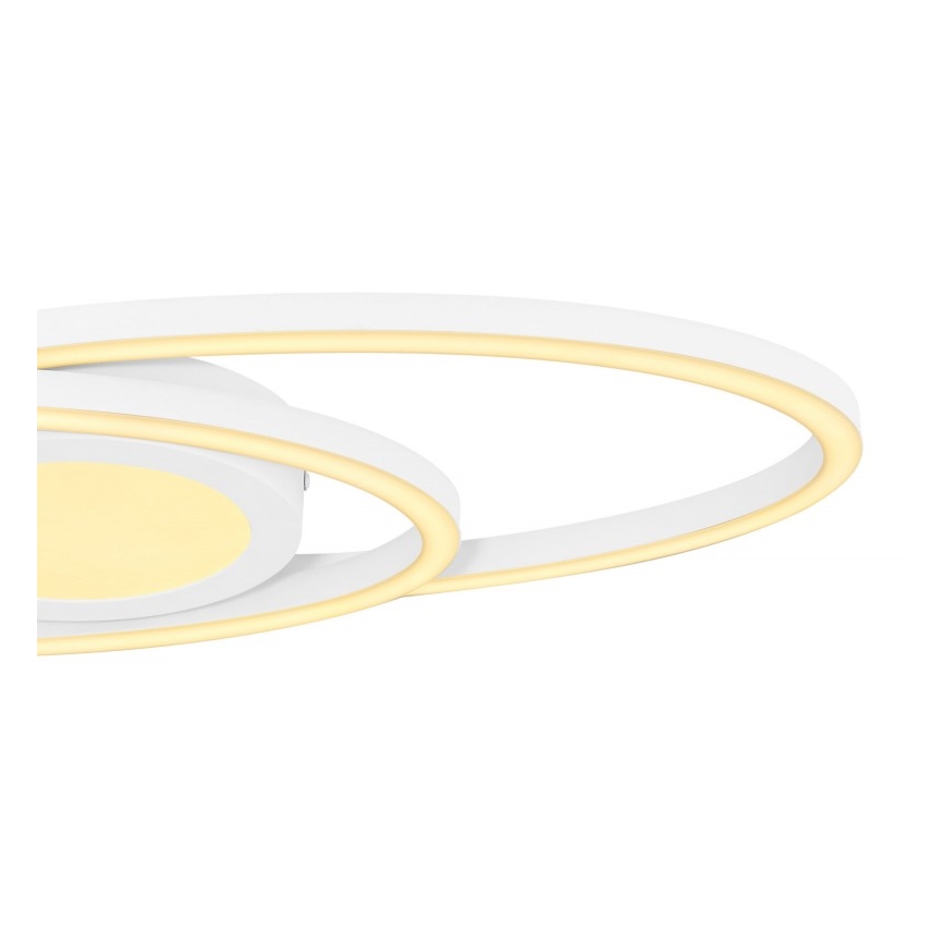 Globo - LED Stropna svjetiljka LED/24W/230V