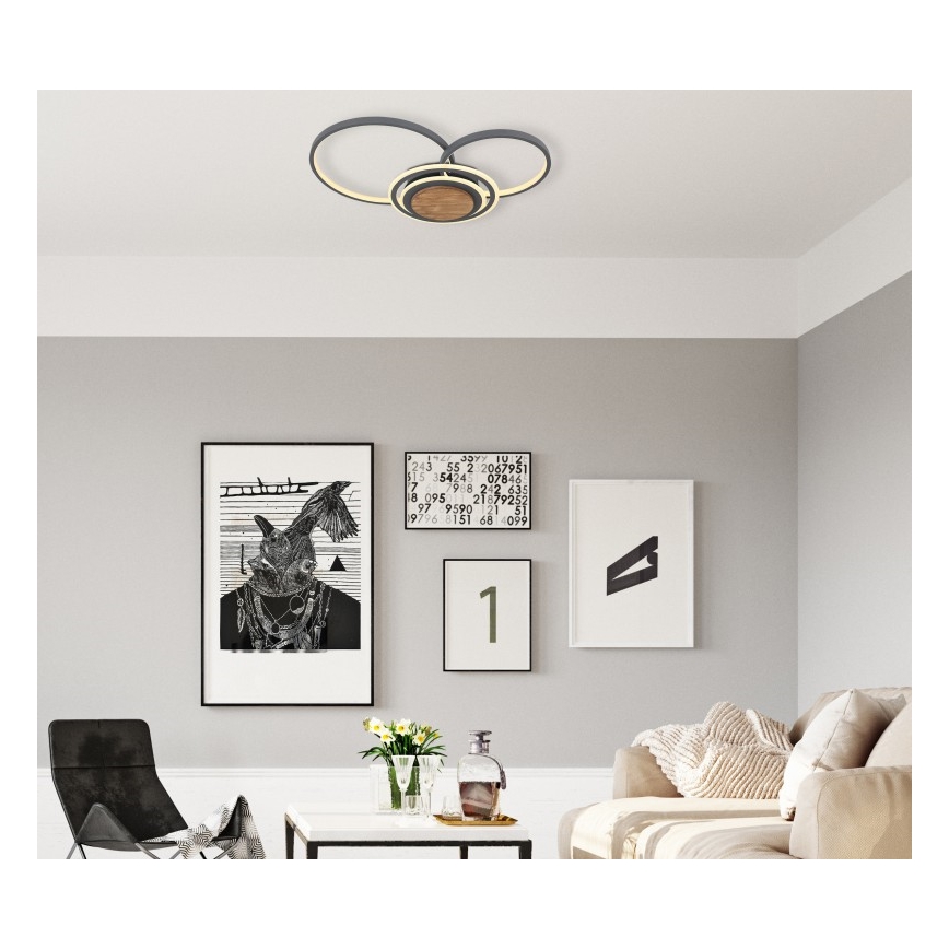 Globo - LED Stropna svjetiljka LED/40W/230V