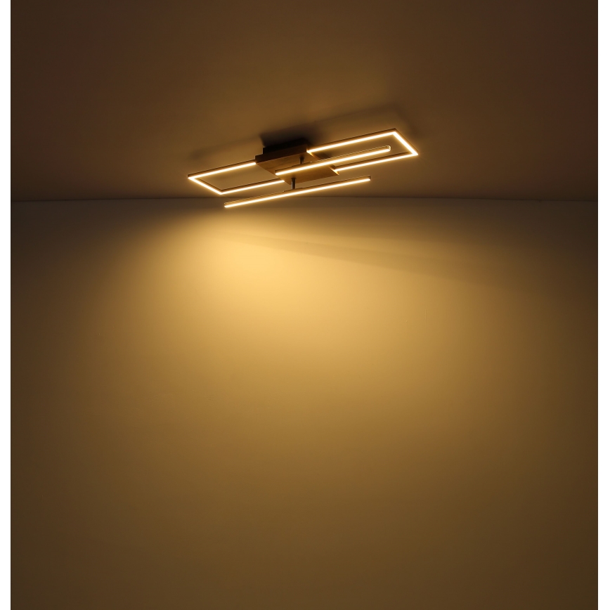 Globo - LED Stropna svjetiljka LED/18W/230V