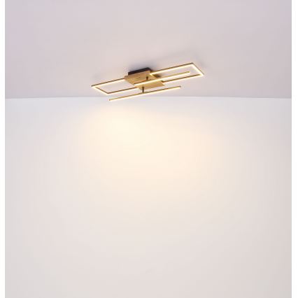 Globo - LED Stropna svjetiljka LED/18W/230V