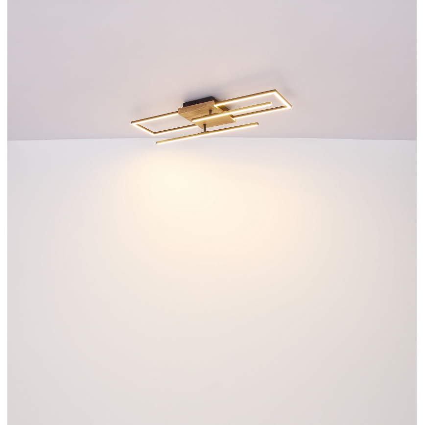 Globo - LED Stropna svjetiljka LED/18W/230V