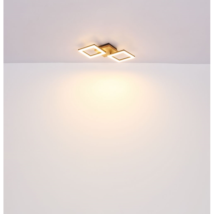 Globo - LED Nadgradni luster LED/18W/230V