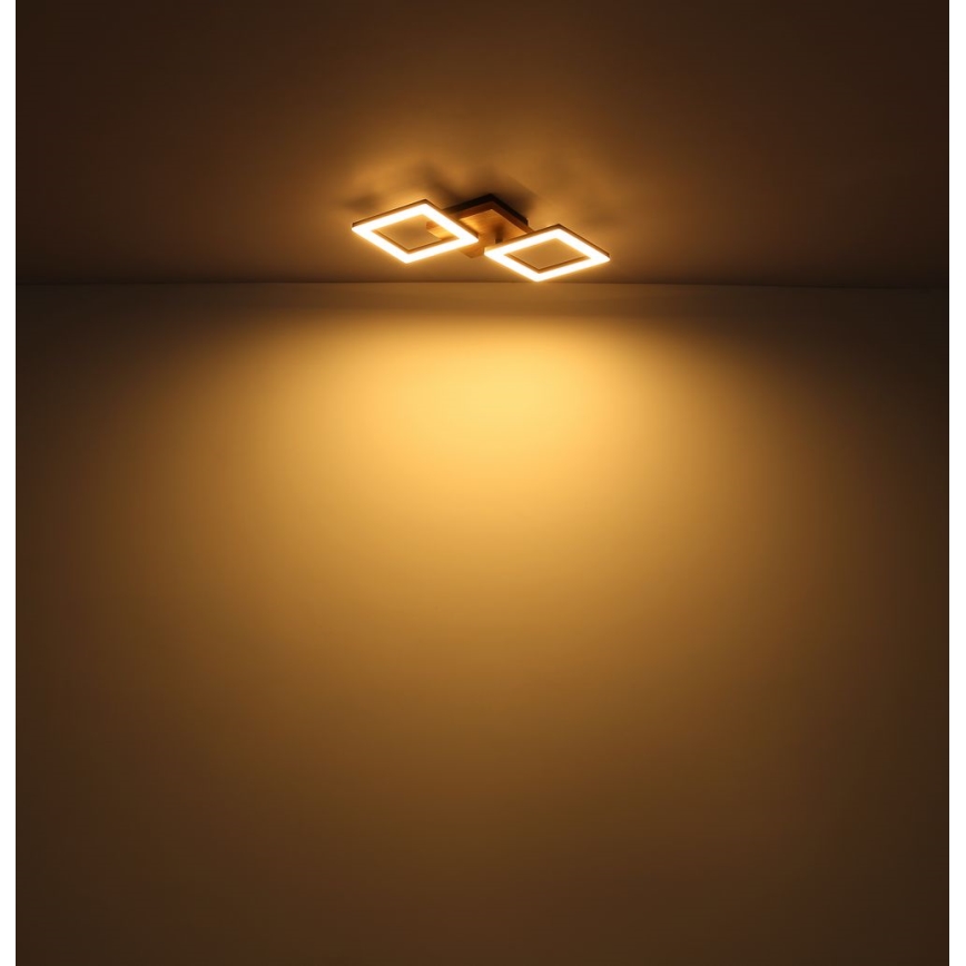 Globo - LED Nadgradni luster LED/30W/230V