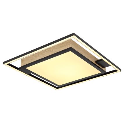 Globo - LED Prigušiva stropna svjetiljka LED/40W/230V 2700-6500K + daljinski upravljač