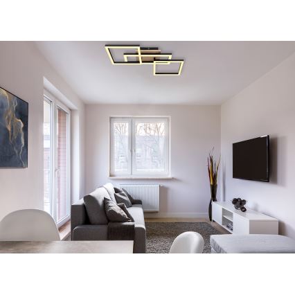 Globo - LED Stropna svjetiljka LED/24W/230V 3000K