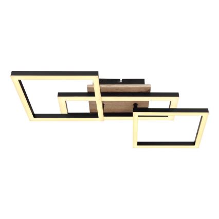 Globo - LED Stropna svjetiljka LED/24W/230V 3000K