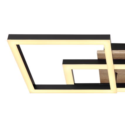 Globo - LED Stropna svjetiljka LED/24W/230V 3000K