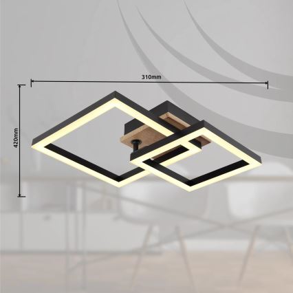 Globo - LED Stropna svjetiljka LED/15W/230V 3000K