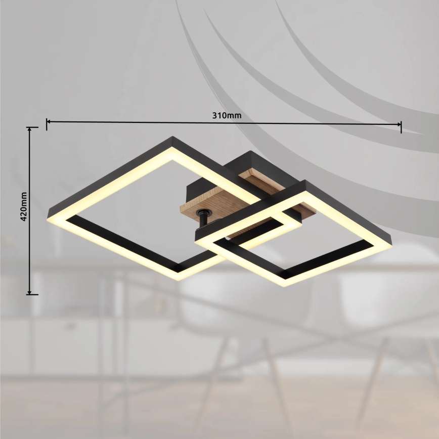 Globo - LED Stropna svjetiljka LED/15W/230V 3000K