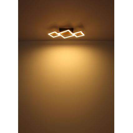 Globo - LED Stropna svjetiljka LED/29W/230V