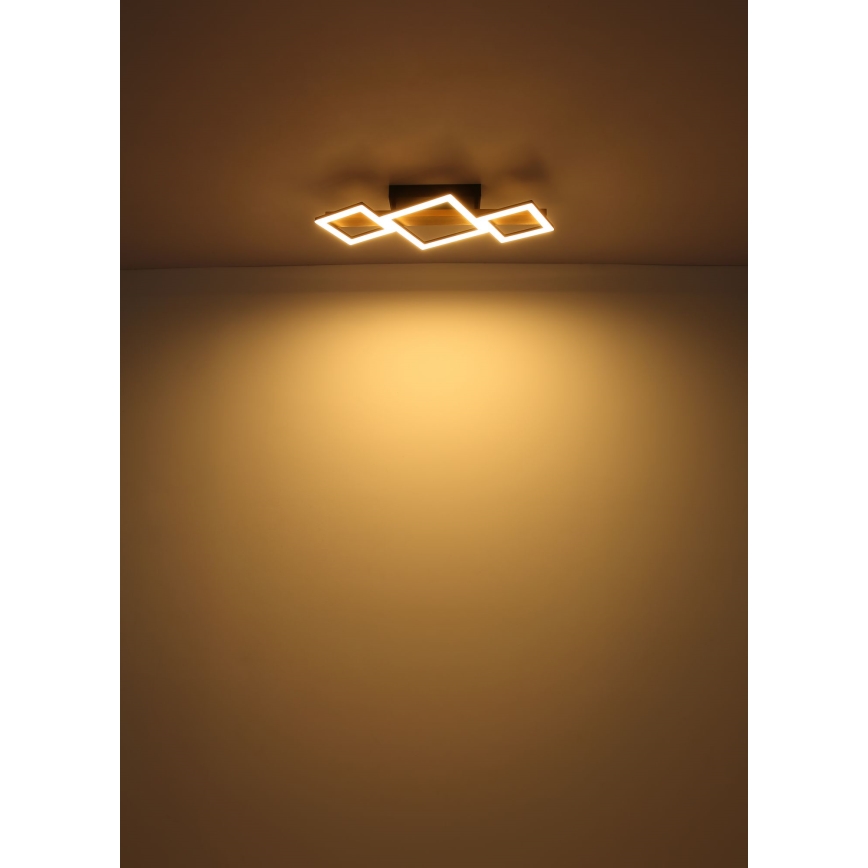 Globo - LED Stropna svjetiljka LED/29W/230V