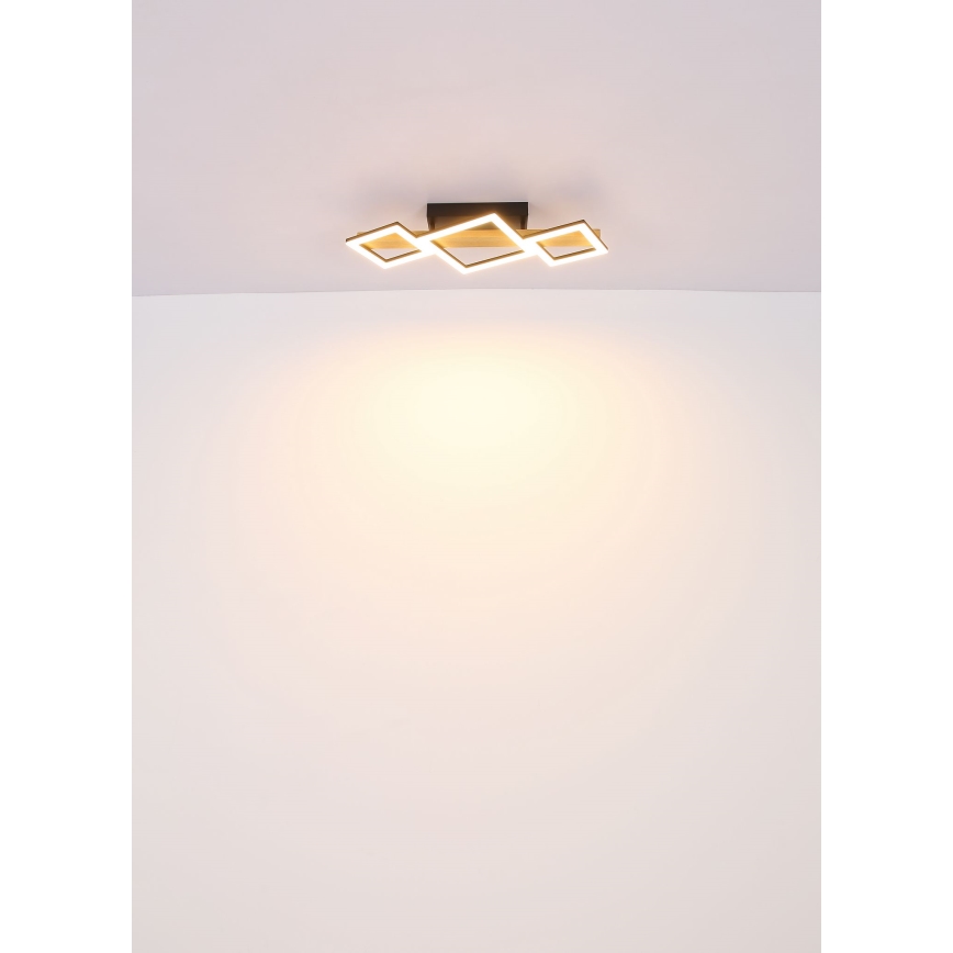 Globo - LED Stropna svjetiljka LED/29W/230V